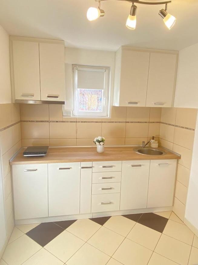 Apartman Mina Mataruska Banja Exterior foto