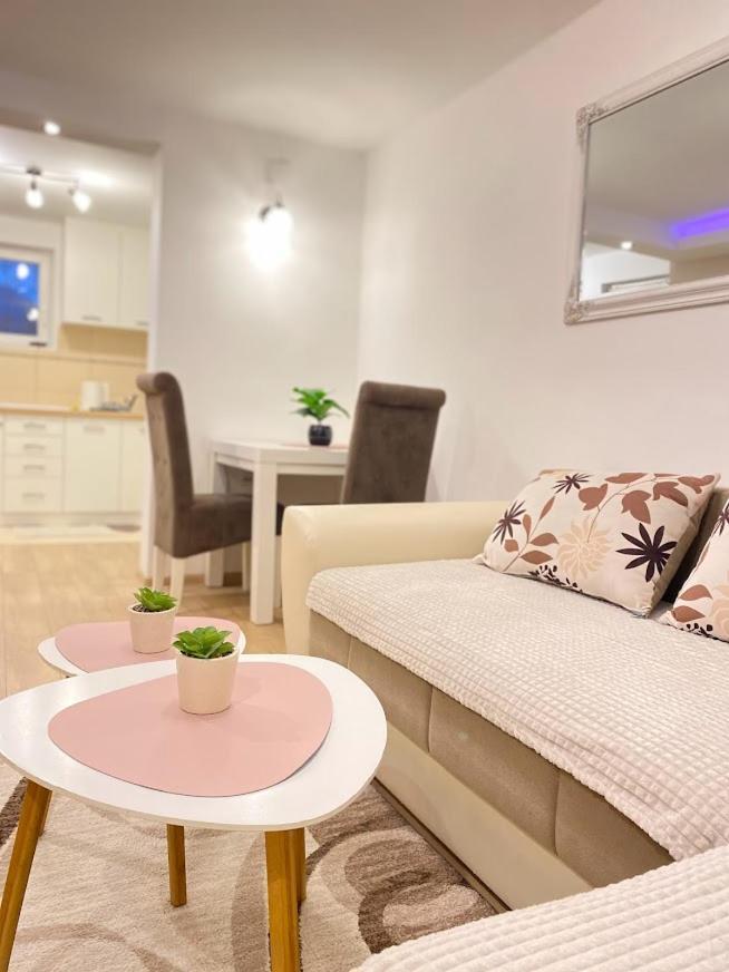 Apartman Mina Mataruska Banja Exterior foto