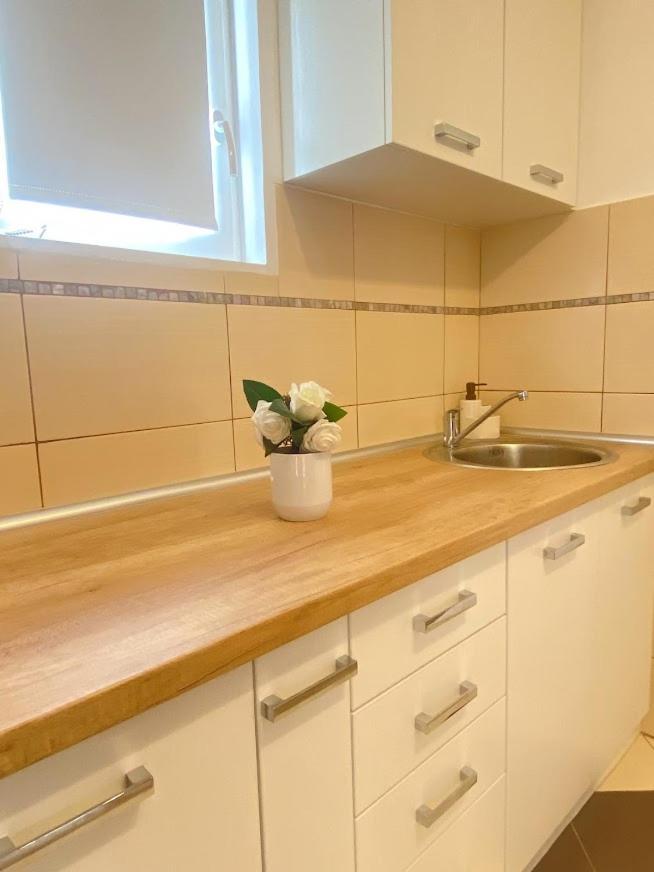 Apartman Mina Mataruska Banja Exterior foto