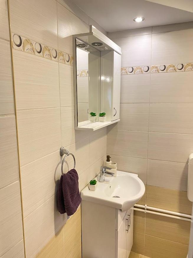 Apartman Mina Mataruska Banja Exterior foto